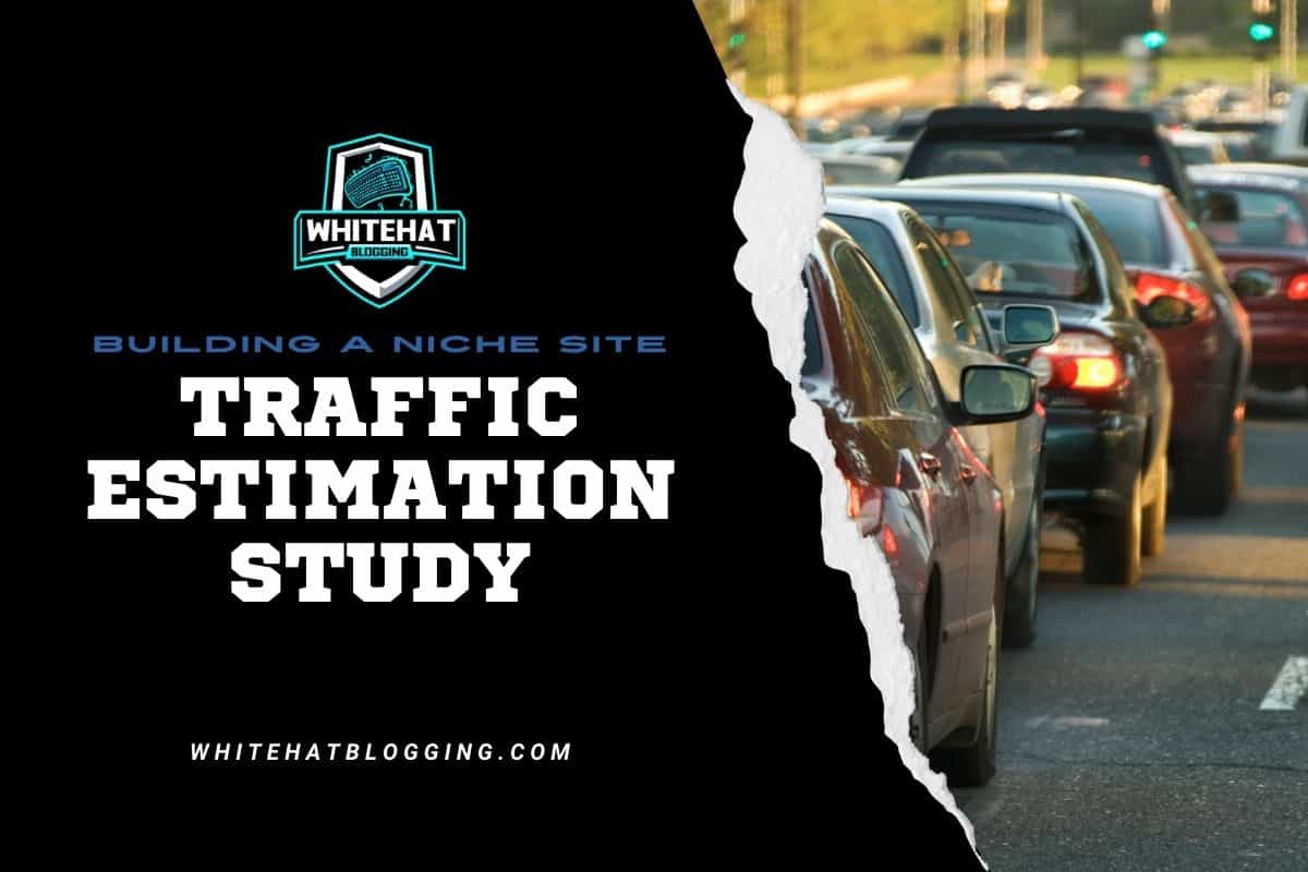 Perform a Traffic Estimation Study to Understand Your Niche